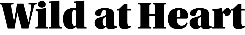 Wild at Heart 