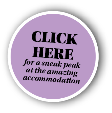 CLICK HERE for a sneak peak at the amazing accommodation