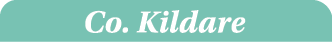Co  Kildare
