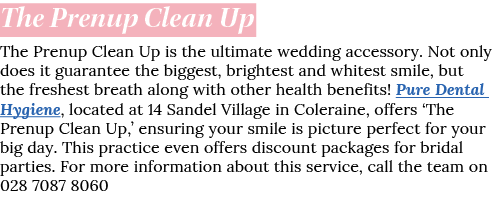 The Prenup Clean Up The Prenup Clean Up is the ultimate wedding accessory  Not only does it guarantee the biggest, br   