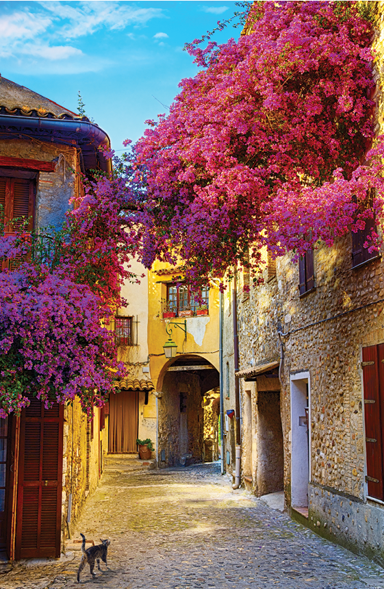 art beautiful old town of Provence
