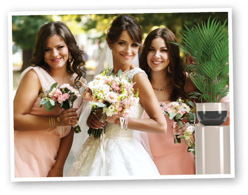 Bride with bridesmaids on the park on the wedding day