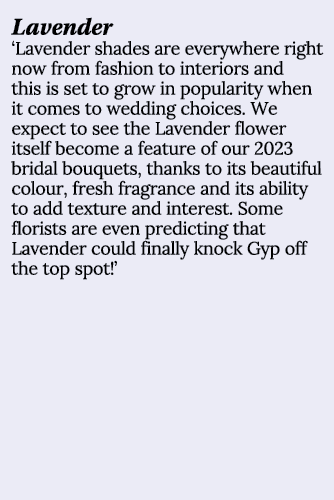 Lavender ‘Lavender shades are everywhere right now from fashion to interiors and this is set to grow in popularity wh...