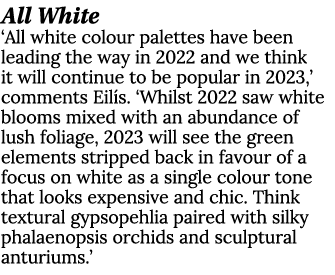 All White ‘All white colour palettes have been leading the way in 2022 and we think it will continue to be popular in...