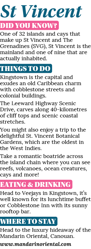 St Vincent DID YOU KNOW? One of 32 islands and cays that make up St Vincent and The Grenadines (SVG), St Vincent is t...
