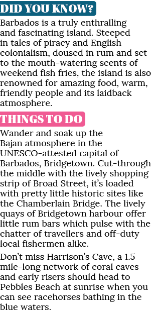 DID YOU KNOW? Barbados is a truly enthralling and fascinating island. Steeped in tales of piracy and English colonial...