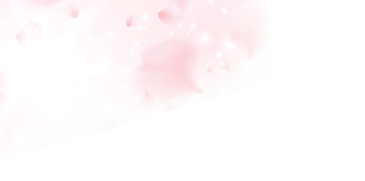 Petals of pink rose spa background  Realistic flying sakura cherry flower petals elements for romantic banner design  