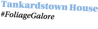  Tankardstown House #FoliageGalore