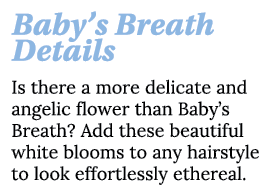 Baby s Breath Details Is there a more delicate and angelic flower than Baby s Breath  Add these beautiful white bloom   
