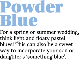 Powder Blue For a spring or summer wedding, think light and floaty pastel blues  This can also be a sweet way to inco   