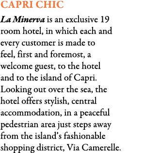 Capri Chic La Minerva is an exclusive 19 room hotel, in which each and every customer is made to feel, first and fore...