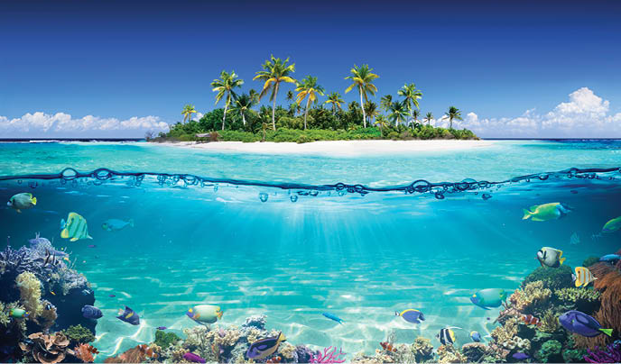 Tropical Island And Coral Reef - Split View With Waterline