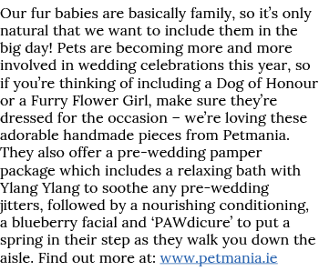 Our fur babies are basically family, so it s only natural that we want to include them in the big day  Pets are becom   