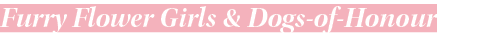 Furry Flower Girls & Dogs-of-Honour