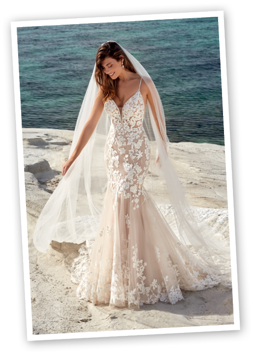 Eddy K  2022 Collections