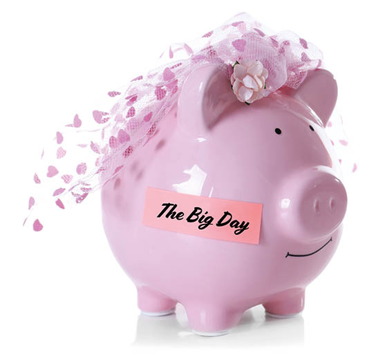 Piggy bank with wedding veil, isolated on white 