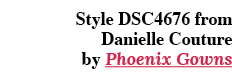 Style DSC4676 from Danielle Couture by Phoenix Gowns 
