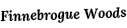 Finnebrogue Woods