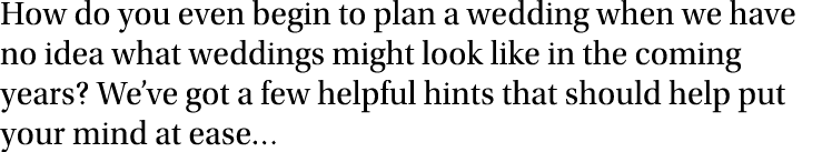 How do you even begin to plan a wedding when we have no idea what weddings might look like in the coming years  We ve   