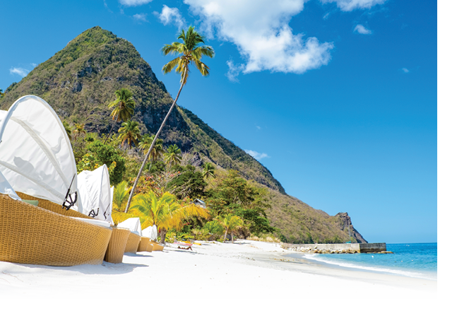 Sugar beach Saint Lucia, a public white tropical beach with palm trees and luxury beach chairs on the beach of the Island St Lucia Caribbean 