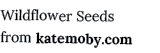 Wildflower Seeds from katemoby com