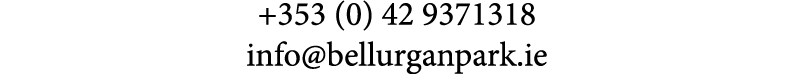 +353 (0) 42 9371318 info@bellurganpark.ie