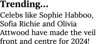 Trending… Celebs like Sophie Habboo, Sofia Richie and Olivia Attwood have made the veil front and centre for 2024!