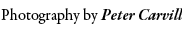 Photography by Peter Carvill