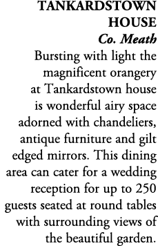 Tankardstown House Co. Meath Bursting with light the magnificent orangery at Tankardstown house is wonderful airy spa...