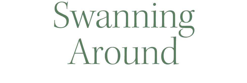 Swanning Around