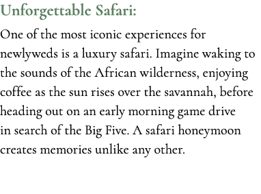 Unforgettable Safari: One of the most iconic experiences for newlyweds is a luxury safari. Imagine waking to the soun...