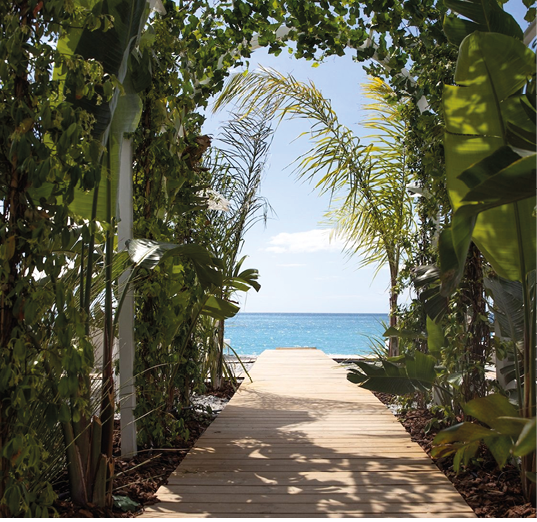 A wooden walkway with a blue ocean view. Description generated by AI