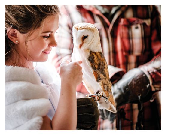 A girl is holding a white owl. Description generated by AI
