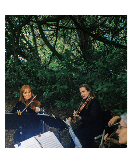 A group of people playing music in a forest. Description generated by AI
