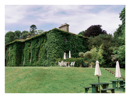 A large green house with ivy growing up the side. Description generated by AI