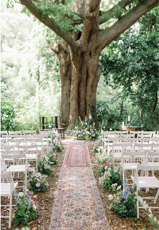 A white carpet with a tree in the background. Description generated by AI