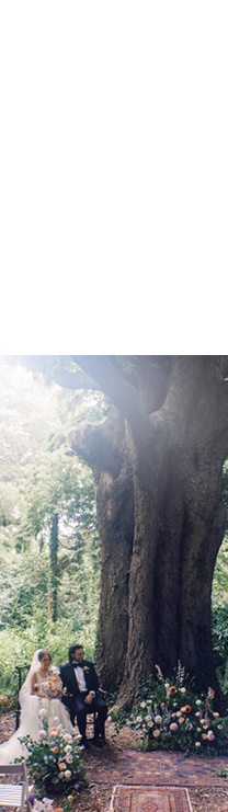 A white carpet with a tree in the background. Description generated by AI