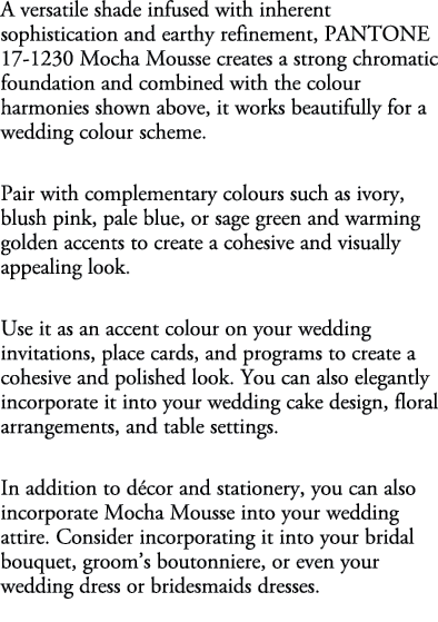 A versatile shade infused with inherent sophistication and earthy refinement, PANTONE 17 1230 Mocha Mousse creates a ...