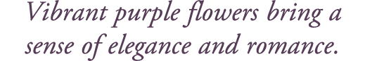 Vibrant purple flowers bring a sense of elegance and romance. 