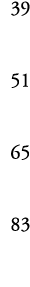39 51 65 83 