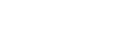 average number of guests