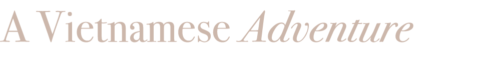 A Vietnamese Adventure