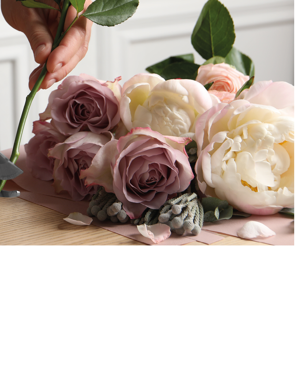 Florist cutting flower stem with pruner at workplace, closeup