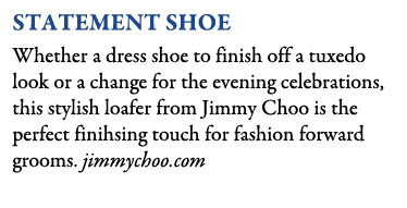 Statement Shoe Whether a dress shoe to finish off a tuxedo look or a change for the evening celebrations, this stylis...