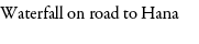 Waterfall on road to Hana 