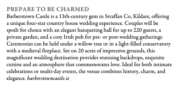 Prepare To Be Charmed Barberstown Castle is a 13th century gem in Straffan Co, Kildare, offering a unique four star c...