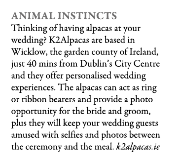 Animal Instincts Thinking of having alpacas at your wedding? K2Alpacas are based in Wicklow, the garden county of Ire...