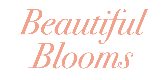 Beautiful Blooms