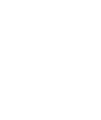 ‘I guarantee luxurious, colour co ordinated flowers that will beautifully complement your wedding theme.’