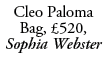 Cleo Paloma Bag, £520, Sophia Webster